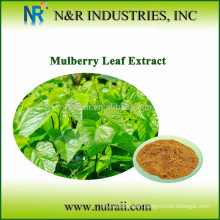 Mulberry Powder and Mulberry Juice Powder from Mulberry Leaf